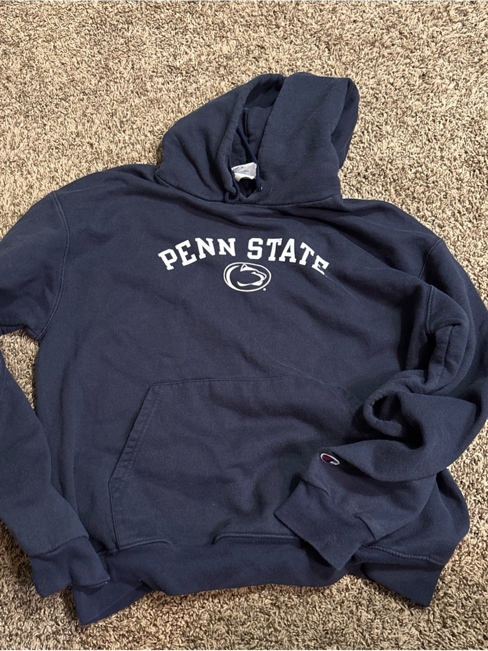 Vtg Champion Penn State Nittany Lions Hoodie Navy Blue Mens Size Large L